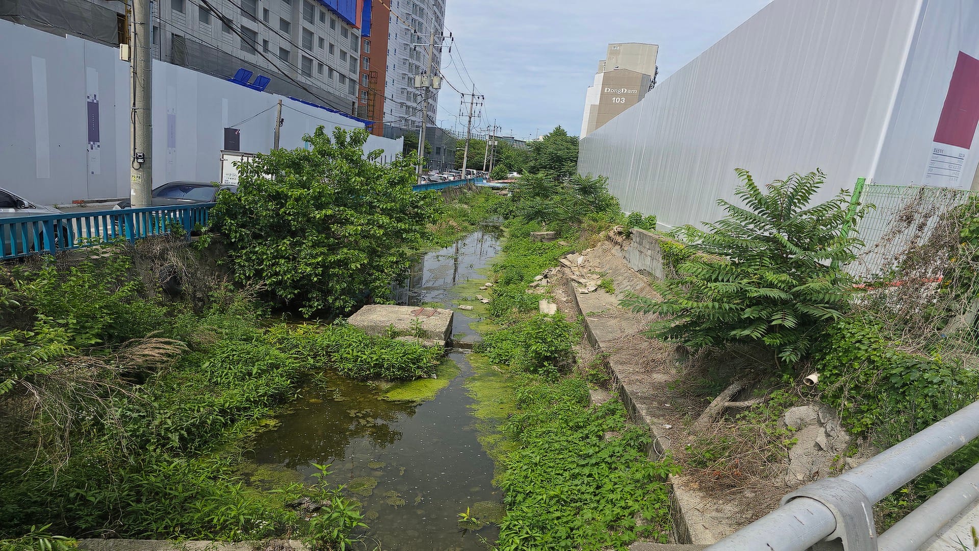 수원역 아너스빌 타임원 신축 공사 현장 옆에 녹조와 부유물이 가득하고 오염된 하천의 적나라한 모습